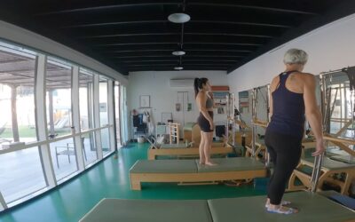 Refine your skills prepartions for 6 months Evaluations
