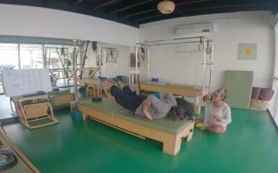 Swan and Swan Dive strength and stability