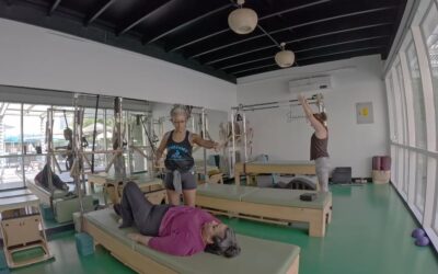 Level 2 adding Neck Pull