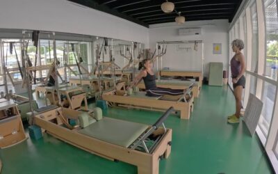 Finding your hamstring connections