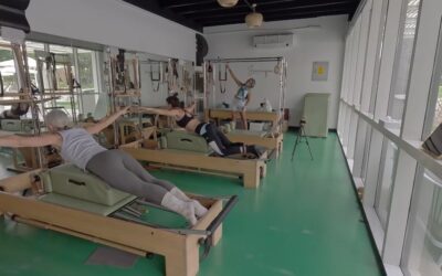Upper spine/back power and archival swan