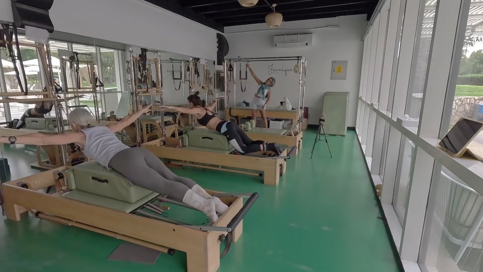 Upper spine/back power and archival swan