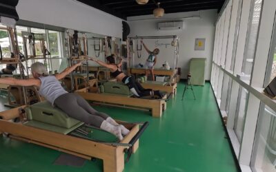 Episode 1: Reformer Level 5, Archival Swan Dive
